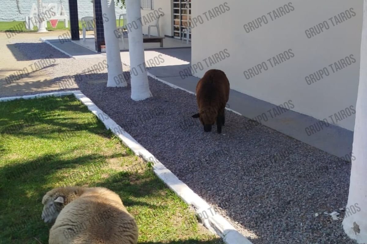 Unidade Feminina - Quartos